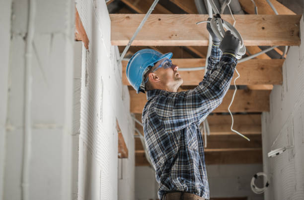 Best Electrical Rewiring Services  in Tavares, FL