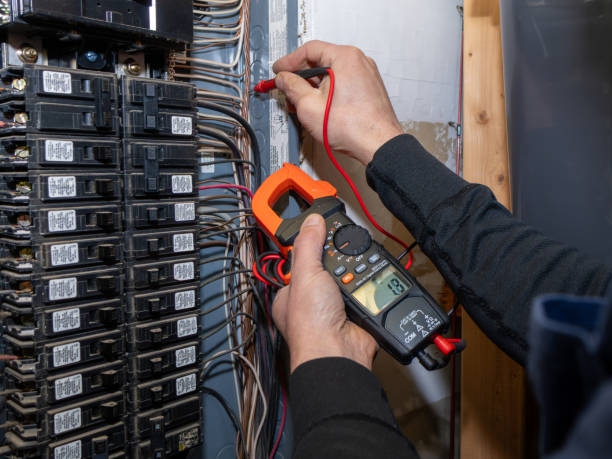 Best Electrical System Inspection  in Tavares, FL