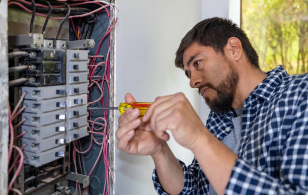 Best Residential Electrician Services  in Tavares, FL